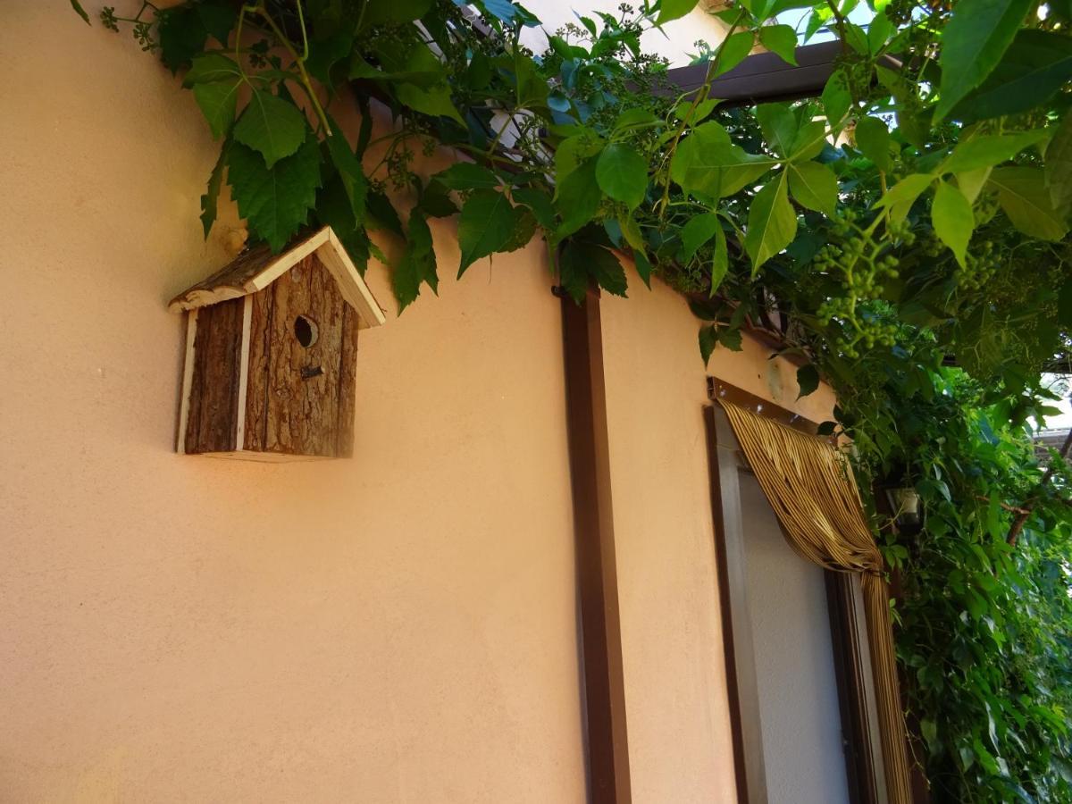 LA MUNTANYA - Apartamentos Rural Guadalest Benimantell Exterior foto